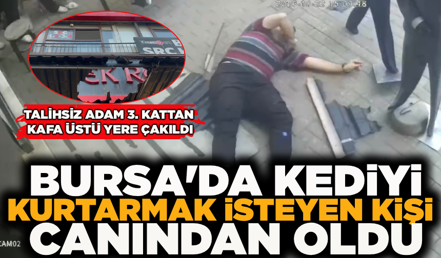 Kediyi kurtarmak isteyen eğitimci yere böyle çakıldı