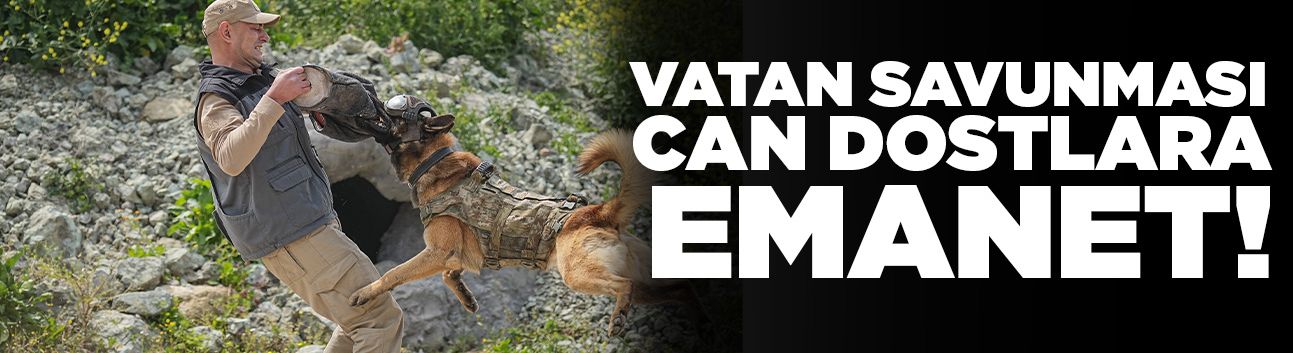 Vatan savunması can dostlara emanet