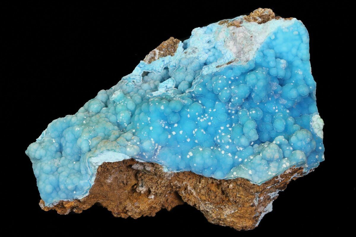 www.FossilEra.com-specimen-254-69731-13