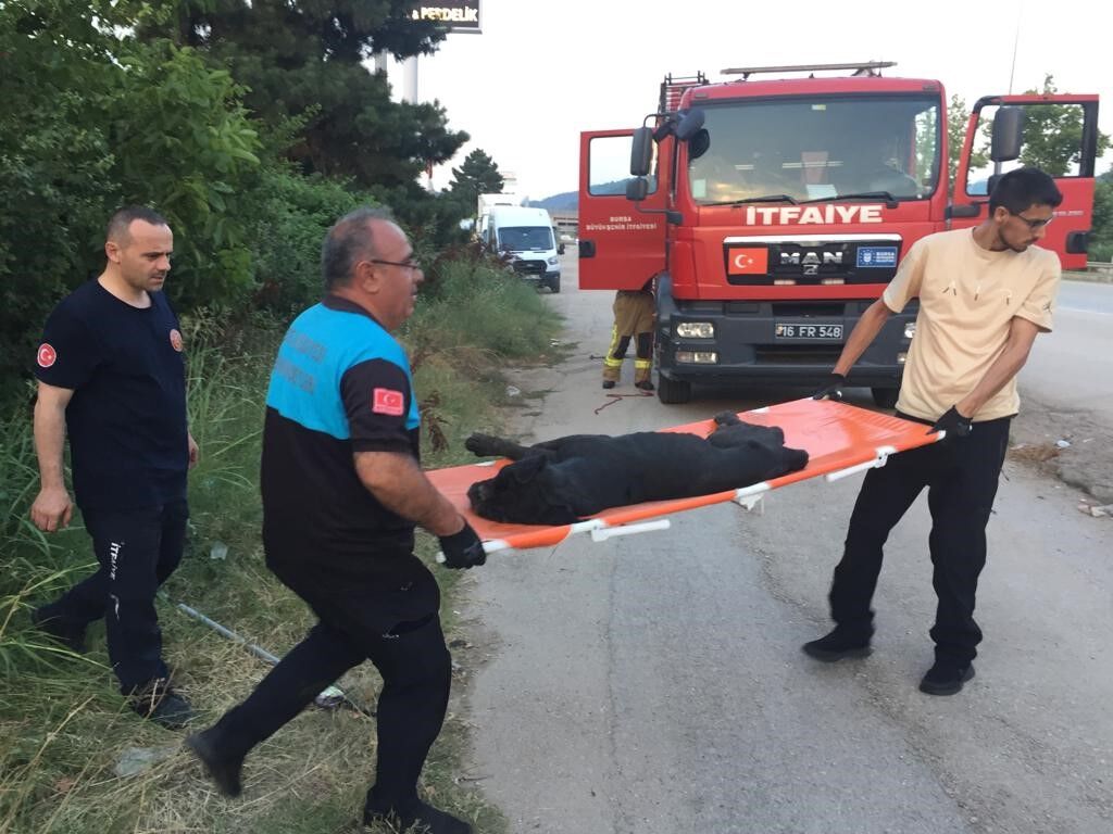 AW929995_04