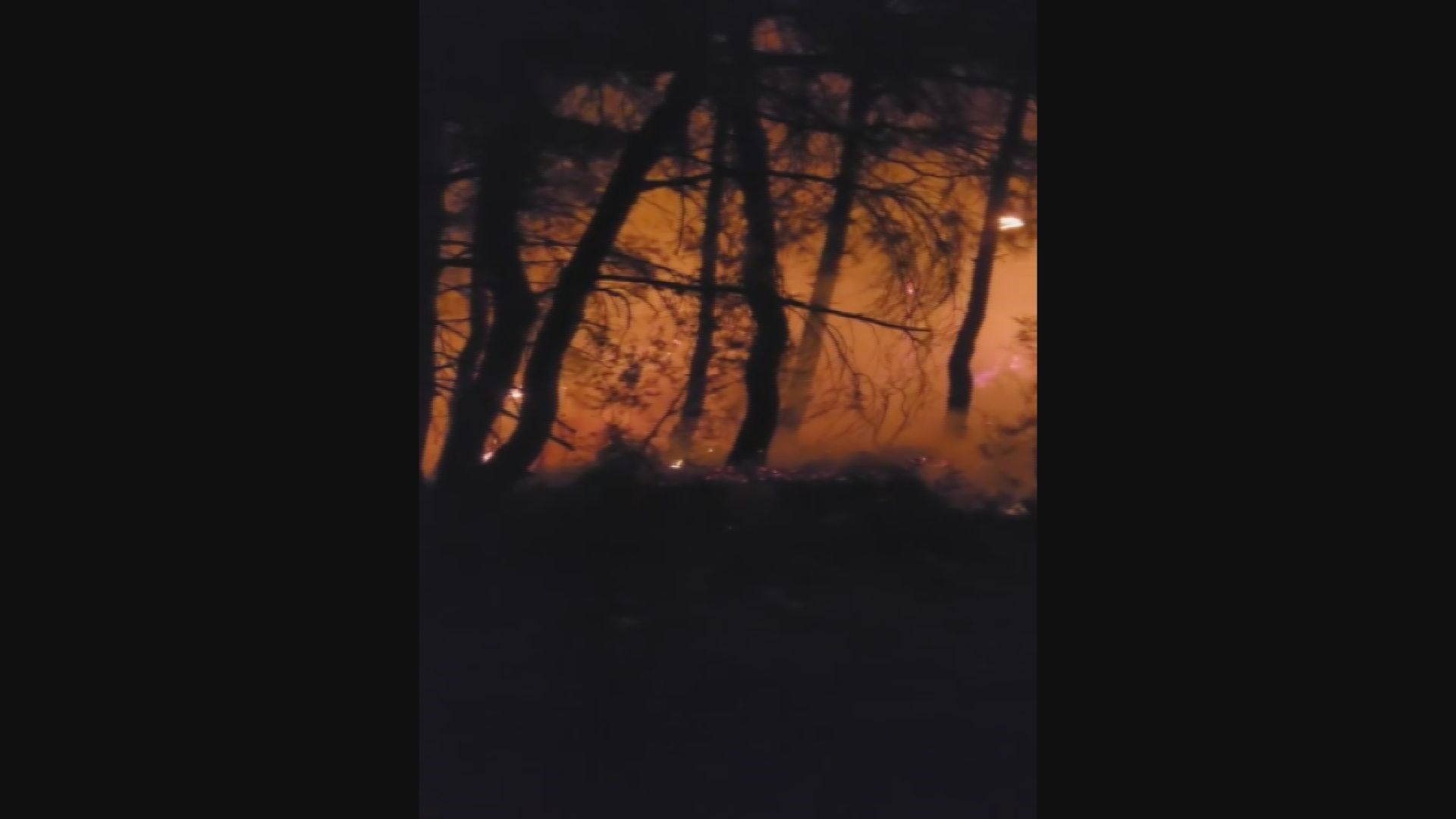 AW932770_01