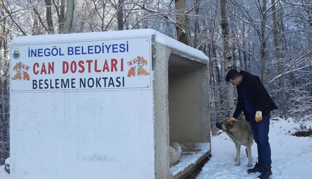 11333-can-dostlarinin-guvenli-yuvasi-inegol-belediyesi-378ffb60-39e9-476d-84d4-a1620ae2e818