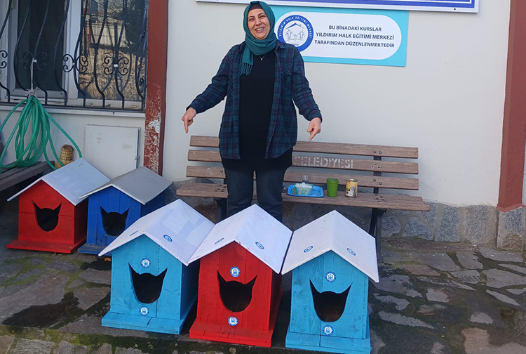 Yıldırım-30