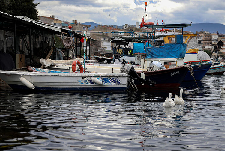 Balık1-2