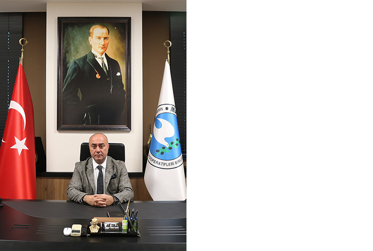 M A R M A R A B İ R L İ K1-1