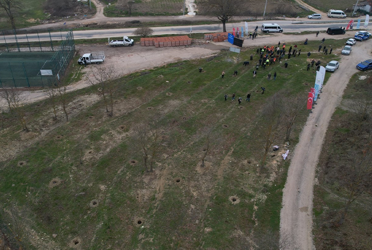 Şadi-41
