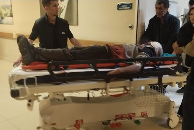 Tır1-13