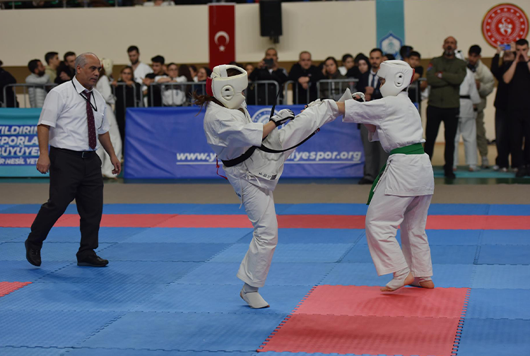 Yıldırım3-10