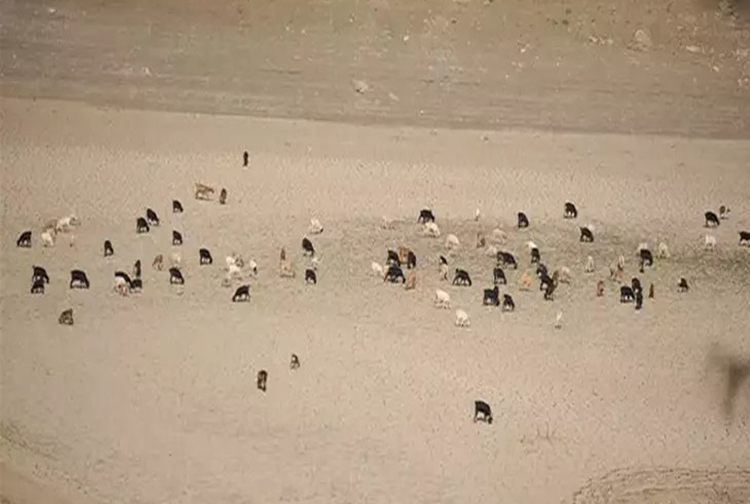 Baraj-19