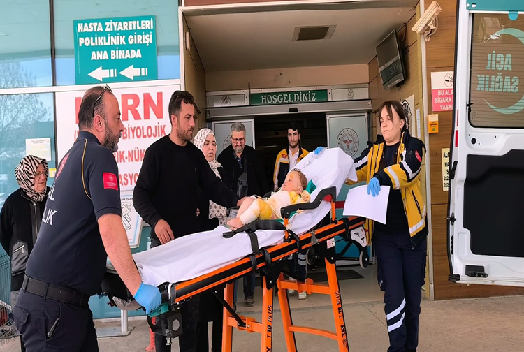 Bebek-53