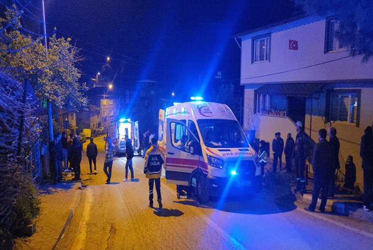 Bursa2-43