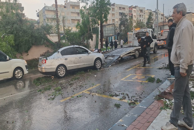 Fırtına2