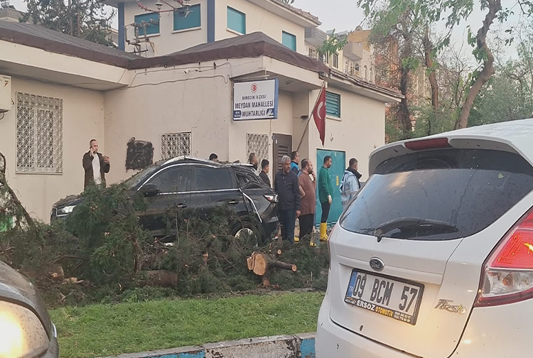 Fırtına3