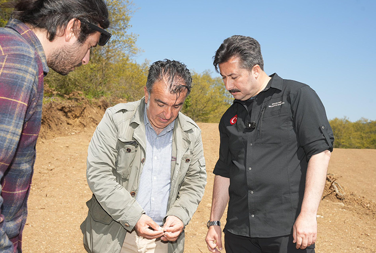 Yenişehir-14