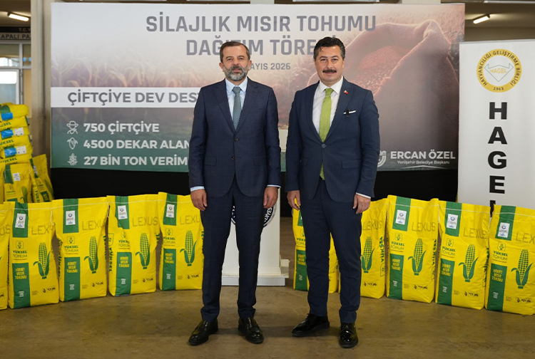 Yenişehir-15