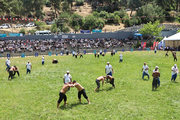 Çalı3-1