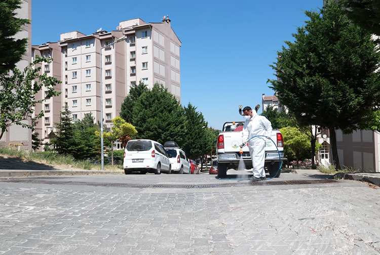 Haşere4