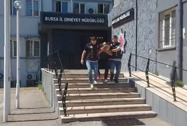 Kayısı