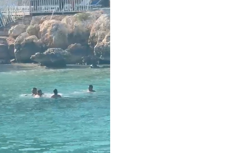 Mersin1