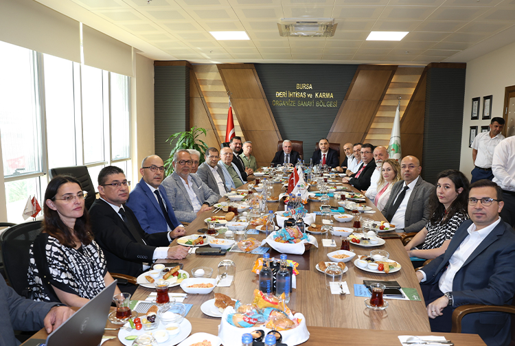 N İ L Ü F E R1-36