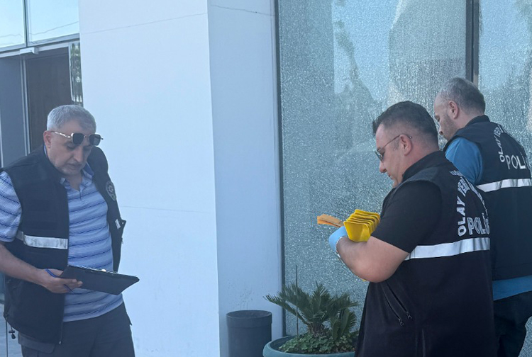 S A L D I R I-14