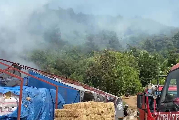 Yangın-144