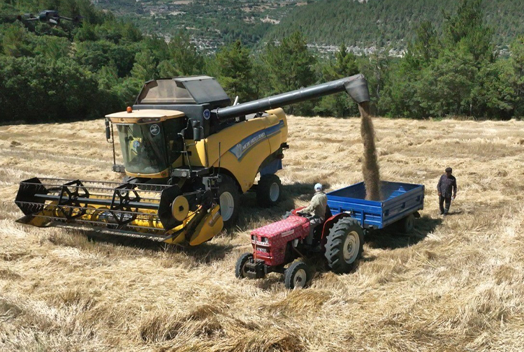 Çiftçi3
