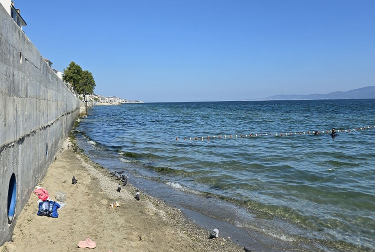 Deniz1-6