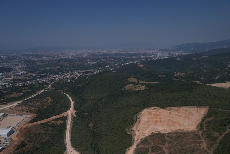 Katıatık