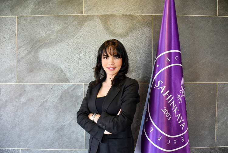 Şahinkaya4-7