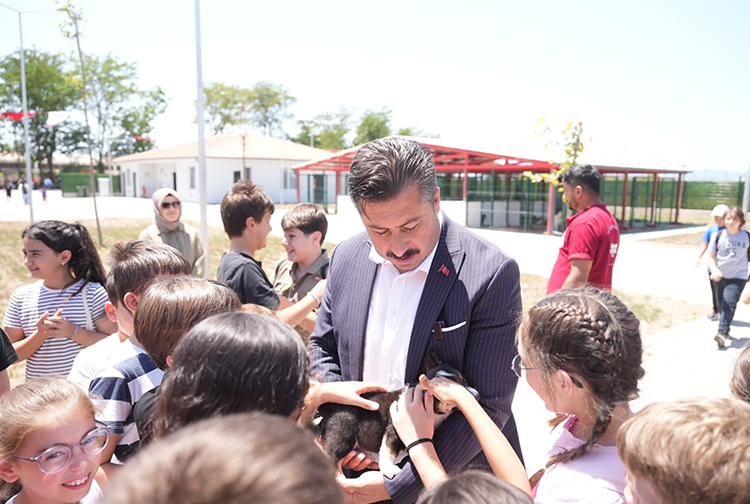 Yenişehir2-14