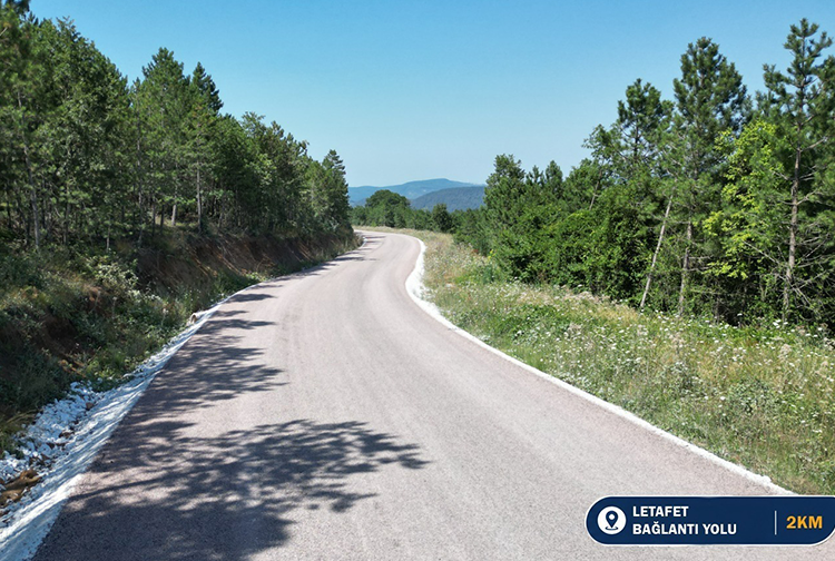 Yol1-6