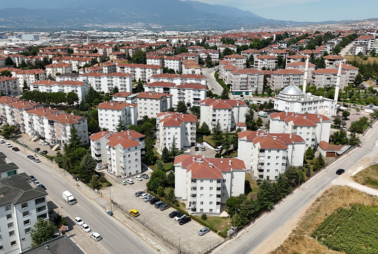 Dönüşüm Projesi1