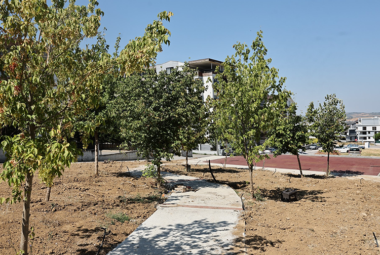 Park4