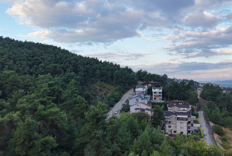 Ayı-18