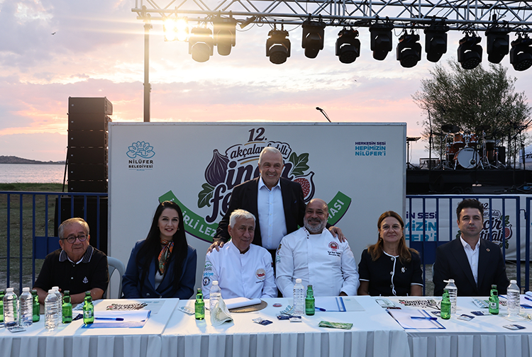 Incir5