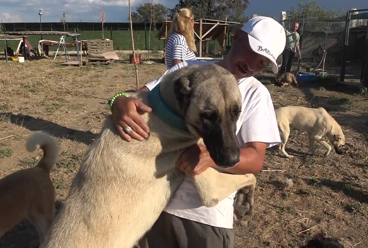 Köpek-44