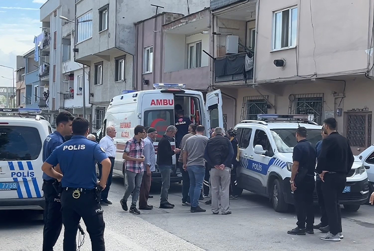 Polis2-13