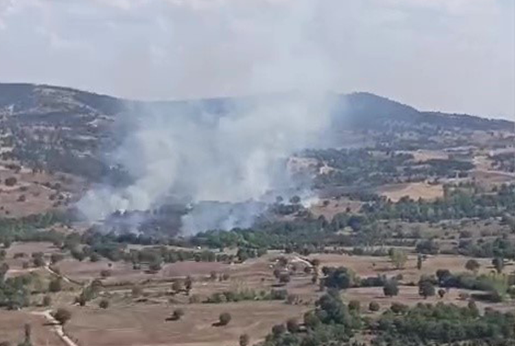 Yangın1-116