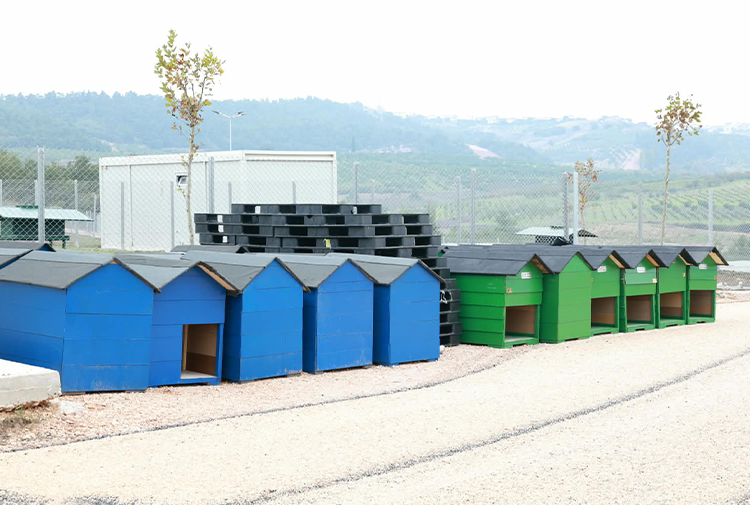 5 Bin 500 Can Dostuna Yeni Yuva5