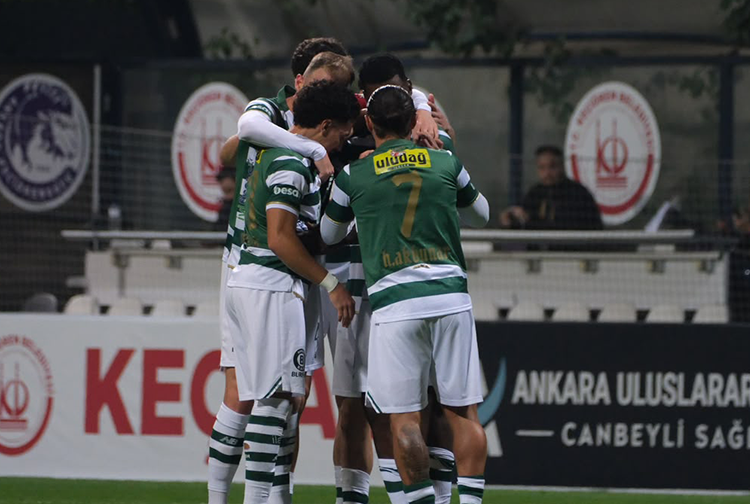 Bursaspor1-33
