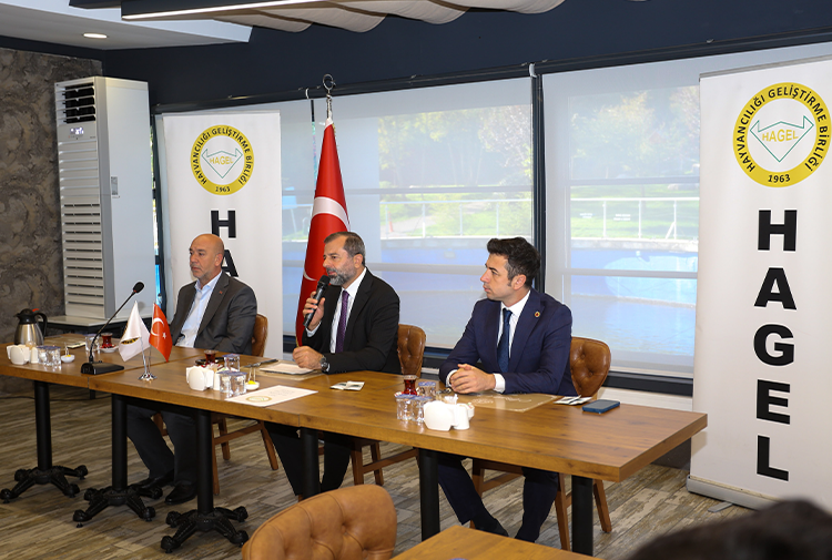H A G E L M E C L İ S İ 1