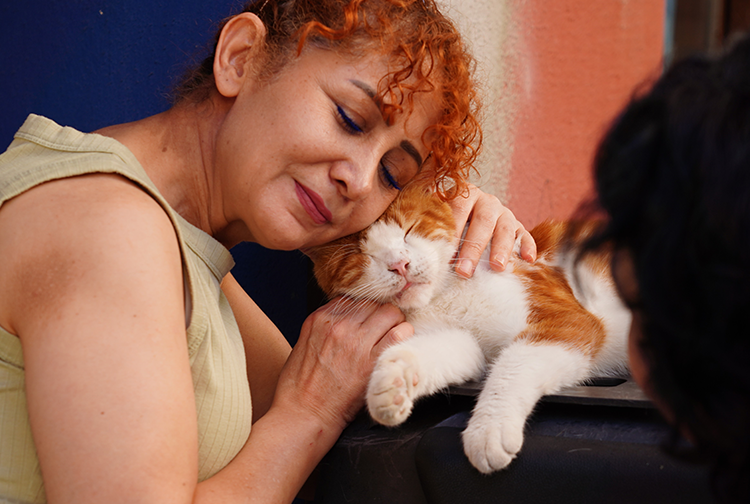 Kedi2-3