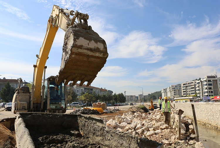 Şahin Biba2