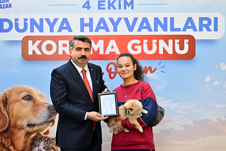 Yıldırım3-33